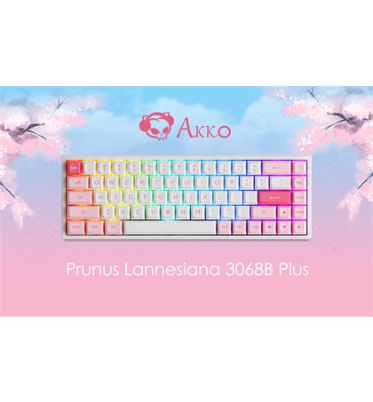 AKKO 3068 B Multi-modes ASA-Prunus lannesiana Jelly Pink - Gaming